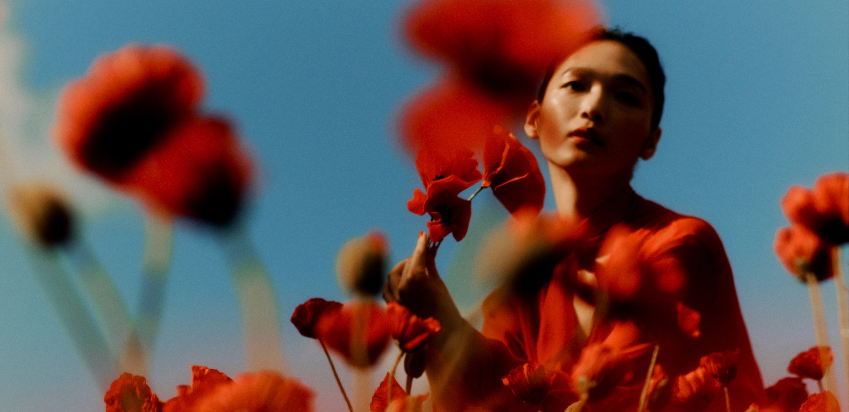 'Una figura sentada en el fondo de un campo de amapolas bajo un cielo azul. Las amapolas aparecen ligeramente borrosas en primer